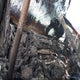 54DK6S164MSG50450 2021 Isuzu Ftr auction photo thumbnail 6