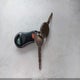 1D7HG38N53S273174 2003 Dodge Dakota Sport/Sxt auction photo thumbnail 11