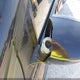 1FADP3F27GL381951 2016 Ford Focus Se auction photo thumbnail 13