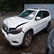 1C4PJMDX7MD170199 2021 Jeep Cherokee Limited 4X4 auction photo thumbnail 2