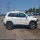 1C4PJMDX5KD146562 2019 Jeep Cherokee Limited 4X4 auction photo thumbnail 14