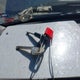5TENX22N76Z241956 2006 Toyota Tacoma auction photo thumbnail 11
