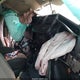 1GCWGAFP8K1209158 2019 Chevrolet Express 2500 Work Van auction photo thumbnail 5