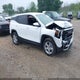 3GKALTEG5RL289514 2024 GMC Terrain Awd Sle auction photo thumbnail 1