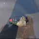2C4RDGCG5ER347429 2014 Dodge Grand Caravan Sxt auction photo thumbnail 11