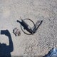 KMHCU4AE5CU211609 2012 Hyundai Accent Gls auction photo thumbnail 12