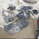 4T1G11AK5MU580843 2021 Toyota Camry Se auction photo thumbnail 12
