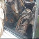 5NPEB4AC3EH936754 2014 Hyundai Sonata Gls auction photo thumbnail 8