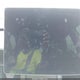 5YJ3E1EB2NF273156 2022 Tesla Model 3 Long Range Dual Motor All-Wheel Drive auction photo thumbnail 15