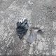 JM1BL1TG8D1819126 2013 Mazda Mazda3 I Sv auction photo thumbnail 12