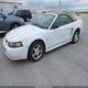 1FAFP44443F396063 2003 Ford Mustang auction photo thumbnail 2