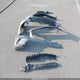 WDDSJ4GB9HN418548 2017 Mercedes-Benz Cla 250 4Matic auction photo thumbnail 11