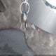 1N4AL11D45N409184 2005 Nissan Altima 2.5 S auction photo thumbnail 11