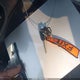 1FAHP34P02W105828 2002 Ford Focus Se auction photo thumbnail 11