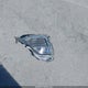 KL8CD6SA0LC419049 2020 Chevrolet Spark Fwd 1Lt Automatic auction photo thumbnail 12