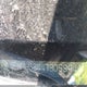 5FNRL38447B058941 2007 Honda Odyssey Ex auction photo thumbnail 9