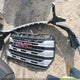 1GTUUBED0RZ149076 2024 GMC Sierra 1500 4Wd Short Box Sle auction photo thumbnail 12