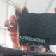 4JGFB4GB6SB336063 2025 Mercedes-Benz Gle 450E 4Matic auction photo thumbnail 9