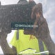 KMHRC8A3XMU081086 2021 Hyundai Venue Sel auction photo thumbnail 9