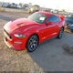 1FA6P8CF2K5201804 2019 Ford Mustang Gt auction photo thumbnail 2