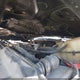 1FT7W2BT2NEG01310 2022 Ford F-250 Platinum auction photo thumbnail 10