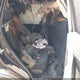 2T3RFREV5JW772005 2018 Toyota Rav4 Xle auction photo thumbnail 8