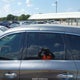 5N1DL0MN0LC518445 2020 Infiniti Qx60 Pure auction photo thumbnail 6