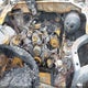 1FTFW1EV5AFB75300 2010 Ford F-150 Fx4/Harley-Davidson/King Ranch/Lariat/Platinum/Xl/Xlt auction photo thumbnail 10