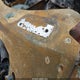 1FTFW1EV5AFB75300 2010 Ford F-150 Fx4/Harley-Davidson/King Ranch/Lariat/Platinum/Xl/Xlt auction photo thumbnail 9