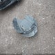 5XYPH4A55HG239042 2017 Kia Sorento 3.3L Ex auction photo thumbnail 12