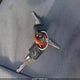 1GCDC14Z6RZ210361 1994 Chevrolet Gmt-400 C1500 auction photo thumbnail 11