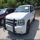 1GNLC2E0XDR361205 2013 Chevrolet Tahoe Commercial Fleet auction photo thumbnail 2