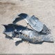 19UUA9F57AA006588 2010 Acura Tl 3.7 auction photo thumbnail 12