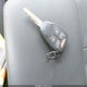 1C3CC4FB2AN112389 2010 Chrysler Sebring Touring auction photo thumbnail 11