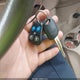 KNDJF724477333041 2007 Kia Sportage Lx auction photo thumbnail 11