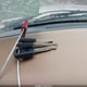 1FMDU34X8TUC79981 1996 Ford Explorer auction photo thumbnail 11
