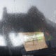 WDDZF4KB1HA097037 2017 Mercedes-Benz E 300 4Matic auction photo thumbnail 16