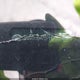 5NMS3DA13PH013088 2023 Hyundai Santa Fe Hybrid Sel Premium auction photo thumbnail 9