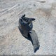 2G11X5S39H9147478 2017 Chevrolet Impala 1Fl auction photo thumbnail 12