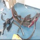 JN8AF5MR4DT221716 2013 Nissan Juke Sl auction photo thumbnail 11