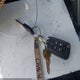 2GNALBEK4C1337983 2012 Chevrolet Equinox Ls auction photo thumbnail 11