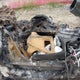 1G1YF3D31P5602614 2023 Chevrolet Corvette Z06 Rwd 3Lz auction photo thumbnail 5