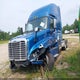 1FUJGLDR5DSBV4896 2013 Freightliner Cascadia 125 auction photo thumbnail 2