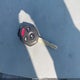 JF1GJAG62CH017700 2012 Subaru Impreza 2.0I Limited auction photo thumbnail 11