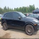 WP1AA2A24HKA83525 2017 Porsche Cayenne Platinum Edition auction photo thumbnail 13