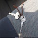 JF1GF4357YG808592 2000 Subaru Impreza L auction photo thumbnail 11