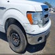 1FTFW1CT1EKE22892 2014 Ford F150 Supercrew auction photo thumbnail 6