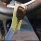 3GTEK13C69G147282 2009 GMC Sierra 1500 Sl auction photo thumbnail 11