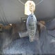 3C6JR6DG2JG250882 2018 Ram 1500 Tradesman 4X2 8' Box auction photo thumbnail 11