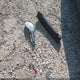 4TAWN72N7YZ659600 2000 Toyota Tacoma Base V6 auction photo thumbnail 12